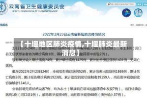 【十堰地区肺炎疫情,十堰肺炎最新消息】