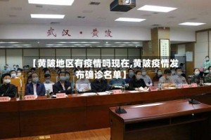 【黄陂地区有疫情吗现在,黄陂疫情发布确诊名单】