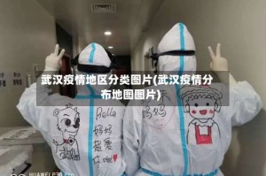 武汉疫情地区分类图片(武汉疫情分布地图图片)