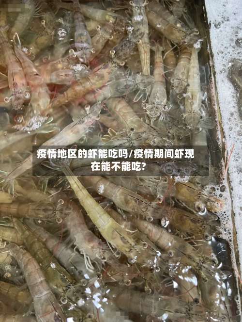 疫情地区的虾能吃吗/疫情期间虾现在能不能吃?-第3张图片