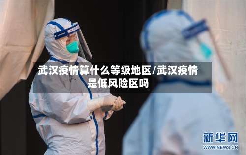 武汉疫情算什么等级地区/武汉疫情是低风险区吗-第1张图片