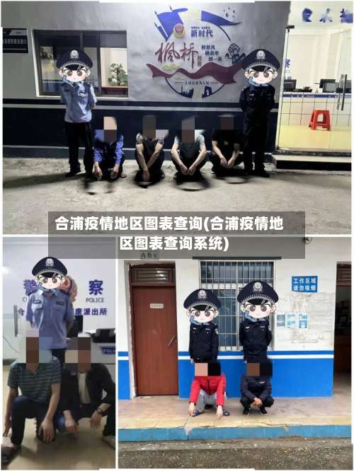 合浦疫情地区图表查询(合浦疫情地区图表查询系统)-第2张图片