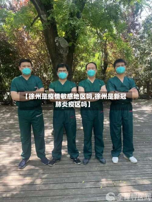 【徐州是疫情敏感地区吗,徐州是新冠肺炎疫区吗】-第3张图片