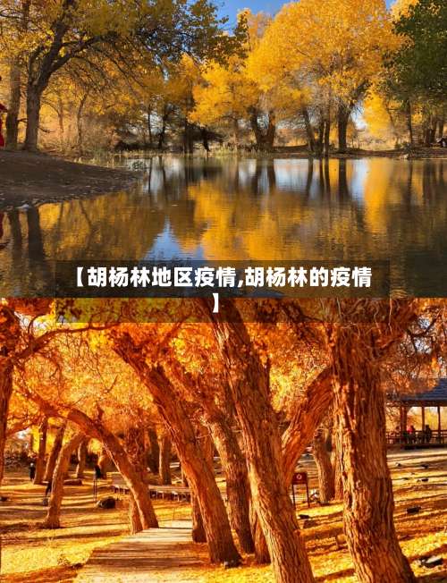 【胡杨林地区疫情,胡杨林的疫情】-第2张图片