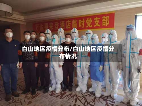 白山地区疫情分布/白山地区疫情分布情况-第2张图片