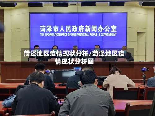 菏泽地区疫情现状分析/菏泽地区疫情现状分析图-第2张图片